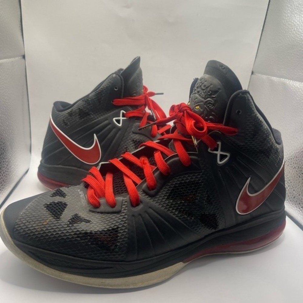 Nike Lebron Bred